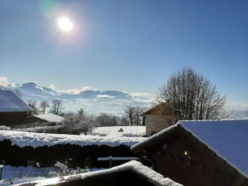 5 Min Des Pistes De Ski Grand Studio Mezzanine Viuz-en-Sallaz Eksteriør bilde
